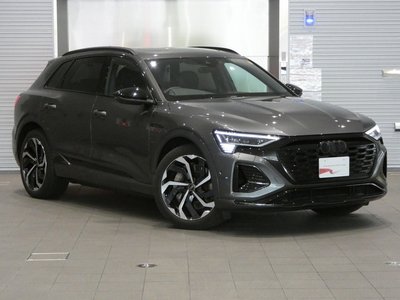 2025 AUDI Q8 E-TRON 缩略图 13