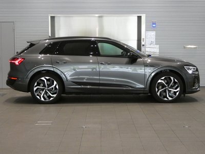 2025 AUDI Q8 E-TRON 缩略图 12