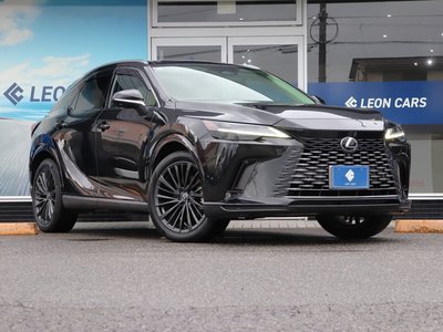 2023 Lexus RX photo 8