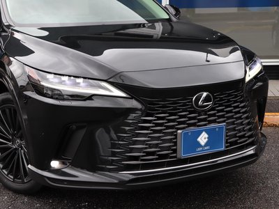 2023 Lexus RX thumbnail 25