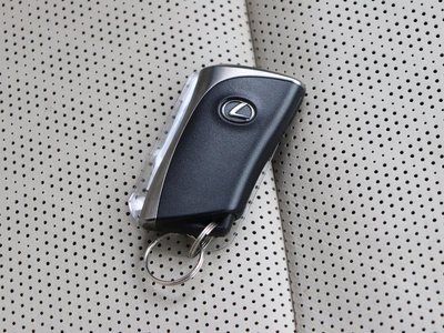 2023 Lexus RX thumbnail 52