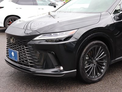 2023 Lexus RX thumbnail 13
