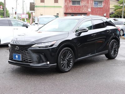 2023 Lexus RX photo 2