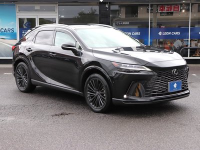 2023 Lexus RX photo 10
