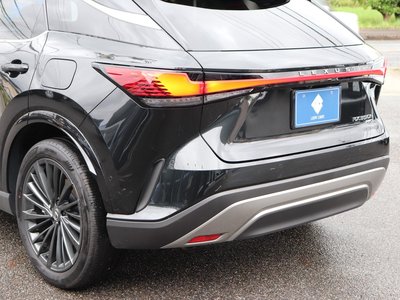 2023 Lexus RX thumbnail 16