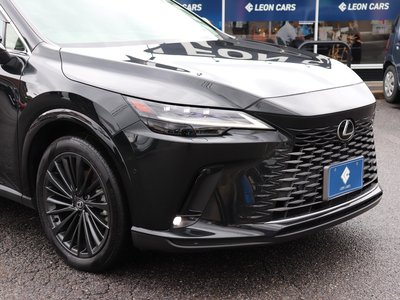 2023 Lexus RX thumbnail 14