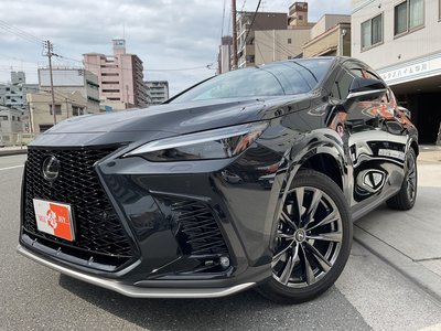 LEXUS NX - 2