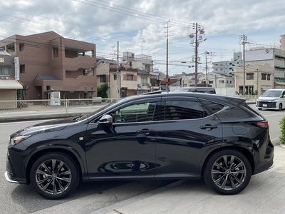 LEXUS NX - 10