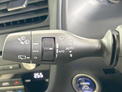 صورة مصغرة 69 لـ 2019 Lexus RX
