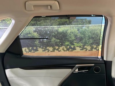صورة مصغرة 45 لـ 2019 Lexus RX
