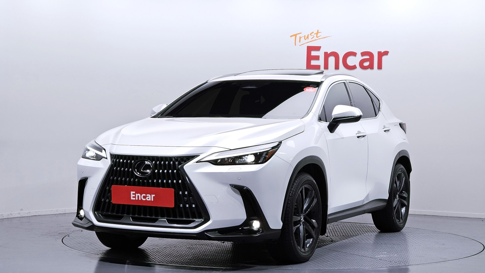 LEXUS NX - View 1