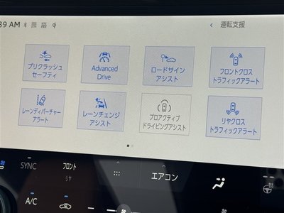 TOYOTA VELLFIRE - 10