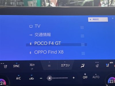 2025 TOYOTA ALPHARD photo 4
