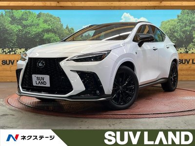 LEXUS NX - 1