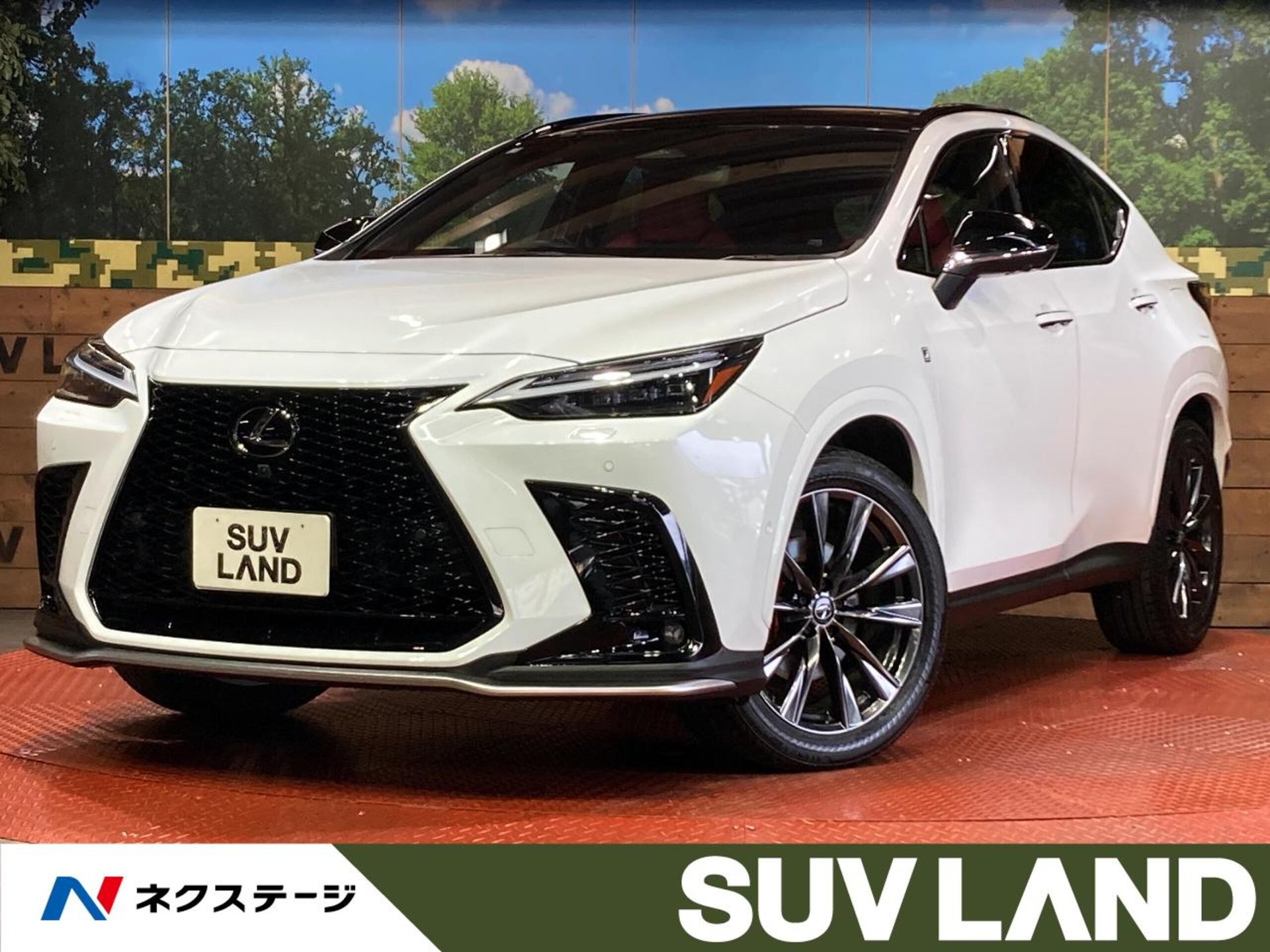 2025 Lexus NX 照片 1