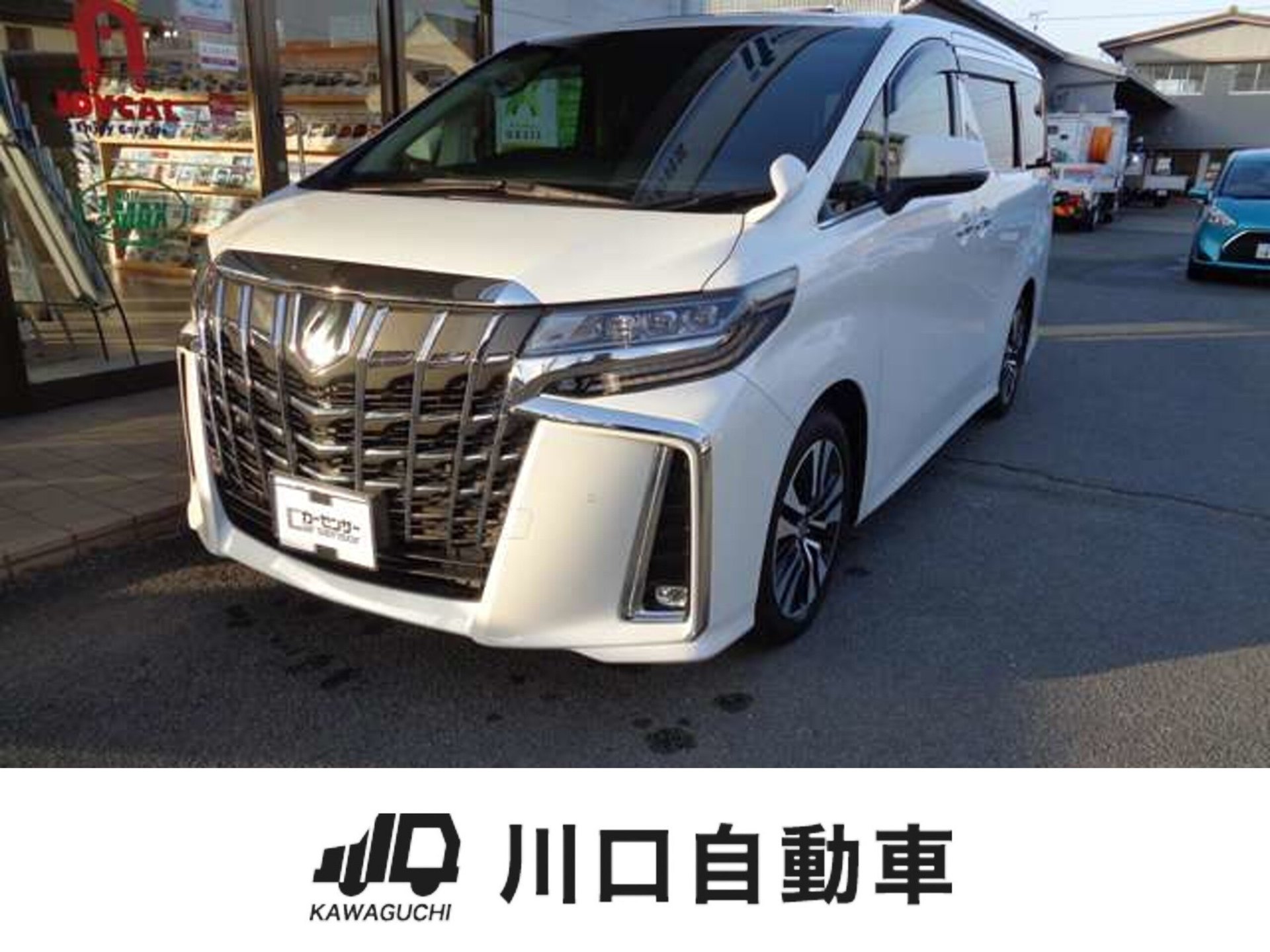 TOYOTA ALPHARD - View 1