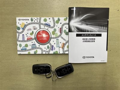 2025 Toyota ALPHARD — миниатюра 30
