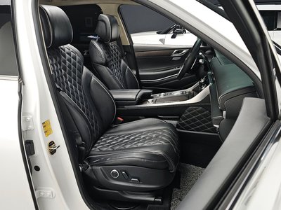 GENESIS GV80 - 10