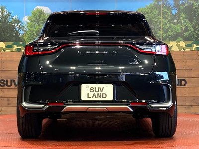 2025 Lexus LBX 照片 14