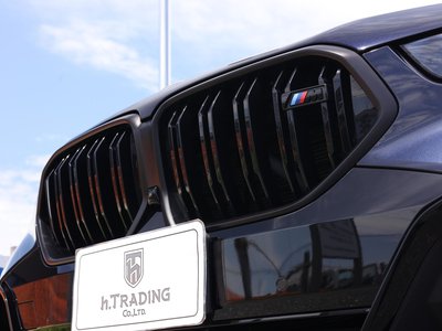 2023 BMW X6 — миниатюра 32