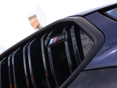 2023 BMW X6 — миниатюра 33