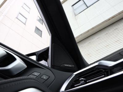 2023 BMW X6 — миниатюра 22