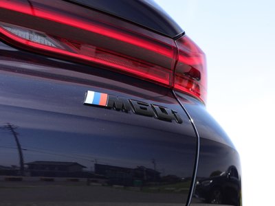 2023 BMW X6 — миниатюра 43