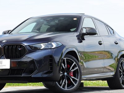 2023 BMW X6 — миниатюра 84