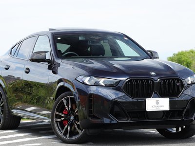 2023 BMW X6 — миниатюра 24