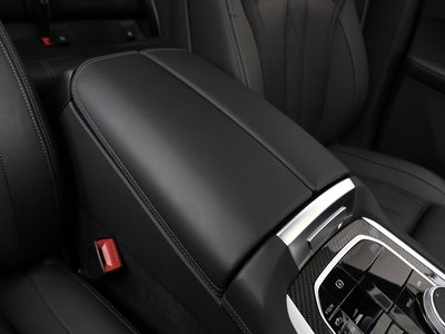 2023 BMW X6 — миниатюра 75