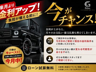 2017 Mercedes-BENZ G-CLASS 照片 5