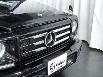 2017 Mercedes-BENZ G-CLASS 缩略图 34