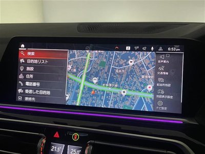 2019 BMW X5 照片 8