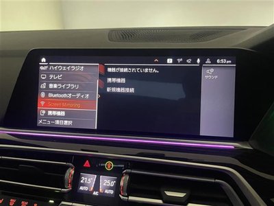 2019 BMW X5 照片 9
