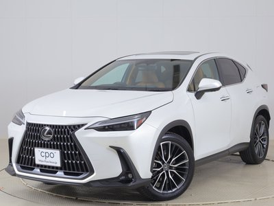 LEXUS NX - 1