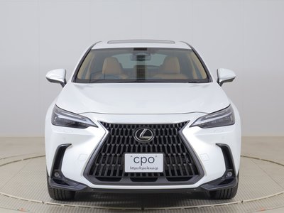 LEXUS NX - 5
