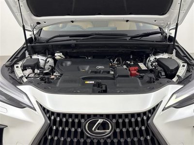 2023 Lexus NX 缩略图 41