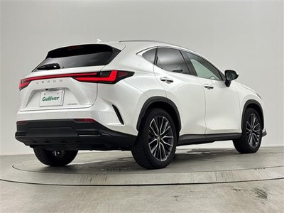 2023 Lexus NX 缩略图 38