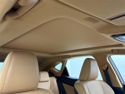 2023 Lexus NX 缩略图 20