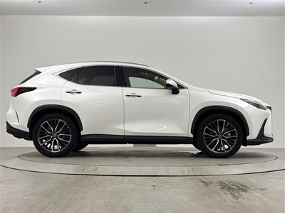 2023 Lexus NX 缩略图 36