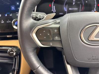 2023 Lexus NX 缩略图 12