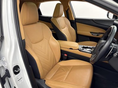 2023 Lexus NX 缩略图 24