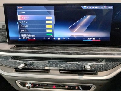 2024 BMW X7 缩略图 65