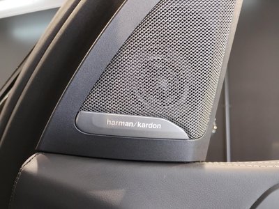 2024 BMW X7 缩略图 48