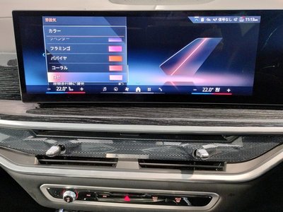 2024 BMW X7 缩略图 64