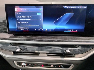 2024 BMW X7 缩略图 62