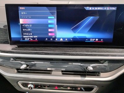 2024 BMW X7 缩略图 63