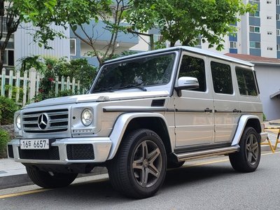 MERCEDES-BENZ G-CLASS - 1