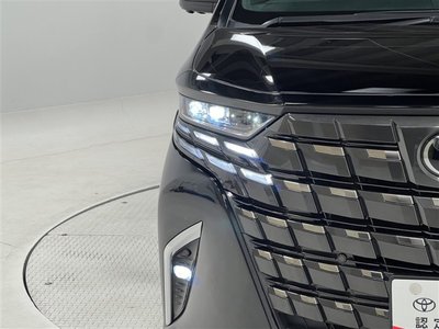2024 TOYOTA ALPHARD 照片 10