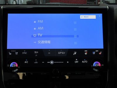 2025 Toyota VELLFIRE 缩略图 65